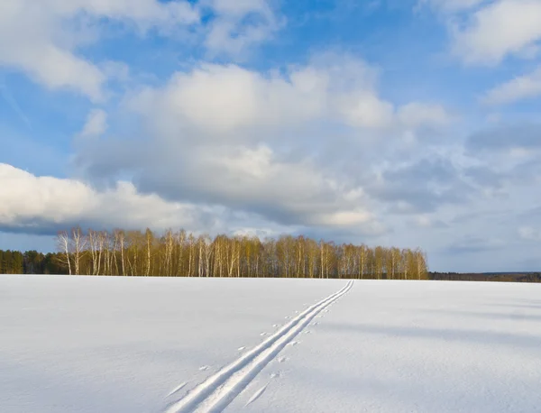 Ski track — Stock Photo, Image