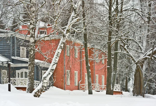 Inverno in Russia — Foto Stock