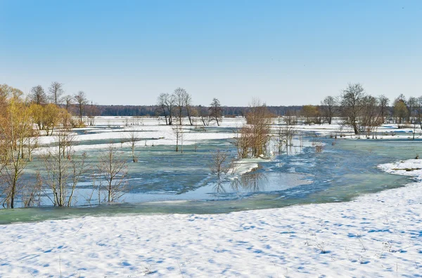 Våren scen — Stockfoto