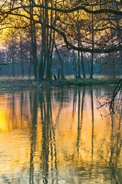 Zachód słońca na wiosnę — Zdjęcie stockowe