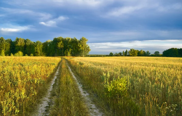 Sommarkväll — Stockfoto