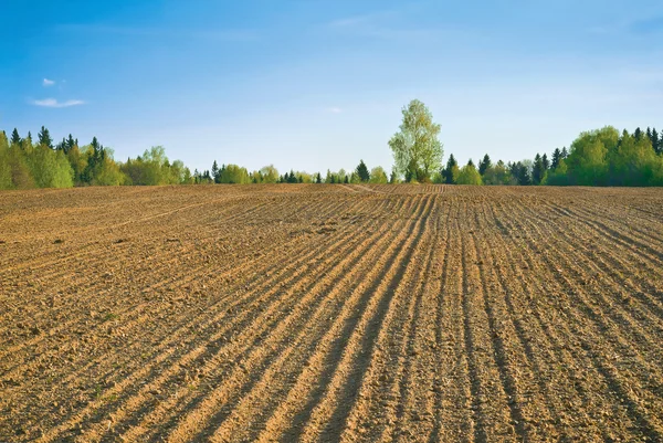 Farm field in spring — Stock Photo, Image