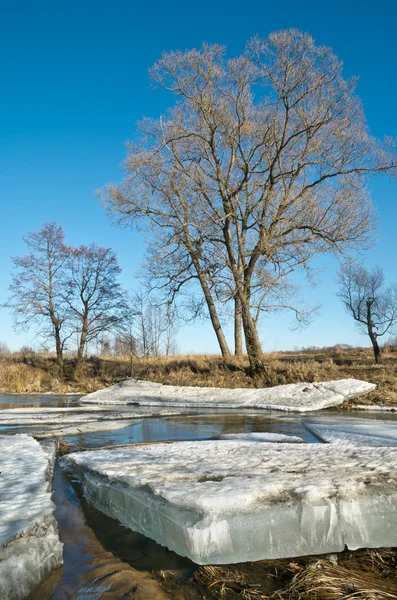 Voorjaar — Stockfoto