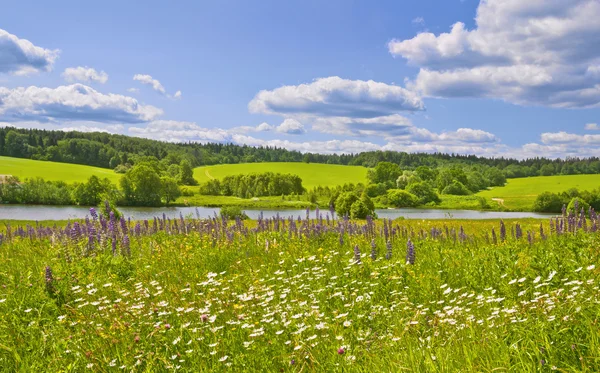 Summer in Central Russia — Stockfoto