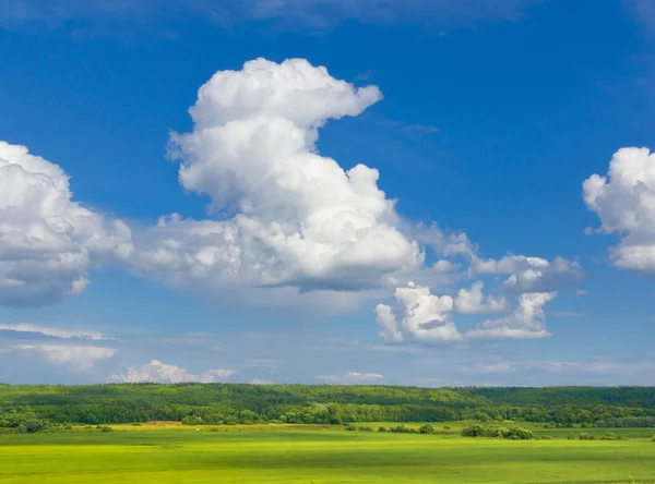 Sommar i Ryssland — Stockfoto