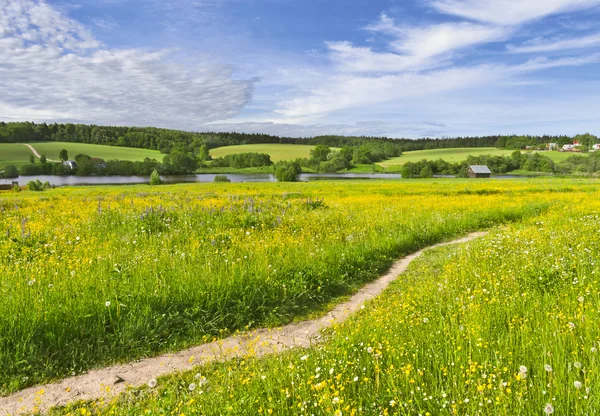 Sommar på landsbygden — Stockfoto