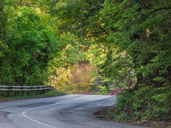 Camino en las montañas — Foto de Stock