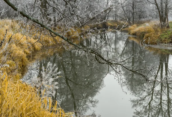 A finales del otoño. Hoarfrost. — Foto de Stock