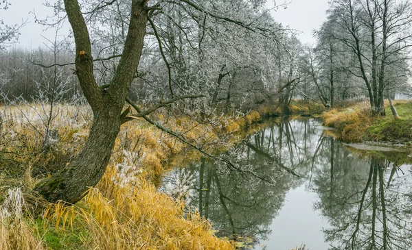 Pozdní podzim. Jinovatka — Stock fotografie