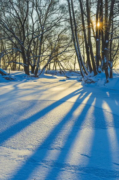 Shadows at sunset — Stock Photo, Image