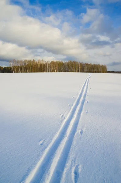 Sebuah trek ski — Stok Foto