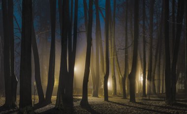 Sisli gece geç Güz