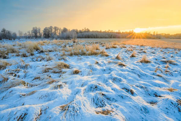 Pôr do sol no início do inverno — Fotografia de Stock