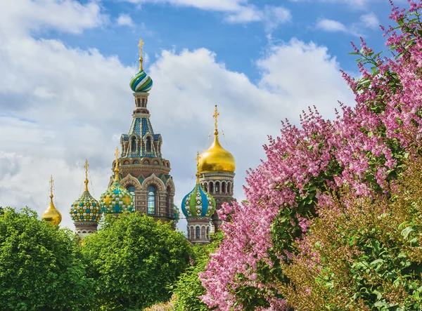 De kerk van de Verlosser op het Bloed Spilled in St.-Petersburg — Stockfoto