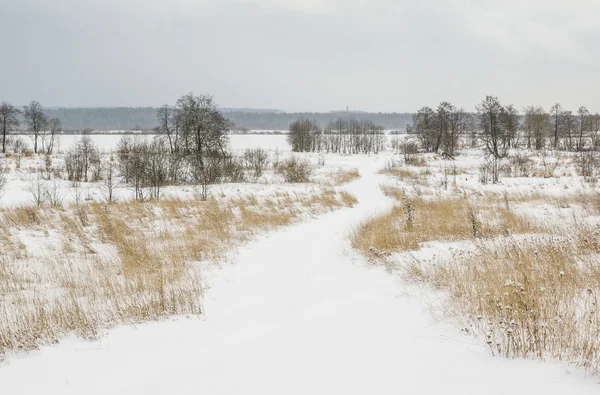 Landweg bedekt met sneeuw — Stockfoto