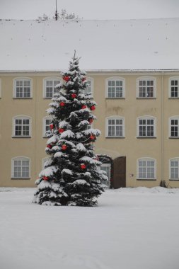 Karla kaplı büyük yeşil ağaç ve kırmızı süsler. Ağaç birçok penceresi olan bir binanın önünde.