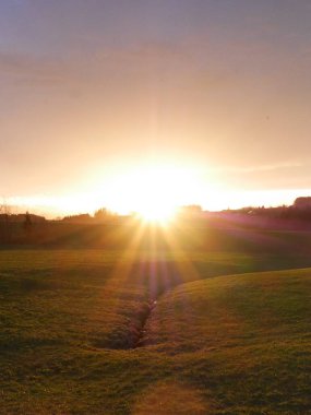 Field with a sun shining on it. The sun is in the middle of the sky and the sky is blue
