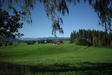 Bavyera kırsalının yeşil tepeleri, çayırları, ormanları, geleneksel çiftlikleri ve açık mavi gökyüzünün altındaki görkemli Alpleri manzarası..