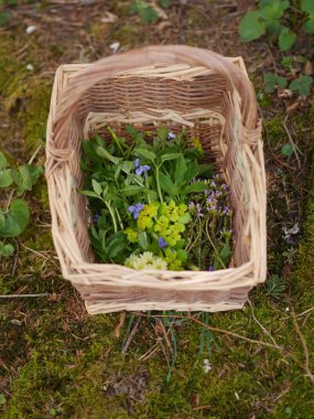 Bir sepet dolusu çiçek ve bitki yerde duruyor. Sepet hasırdan yapılmış ve sapı var. Çiçekler ve bitkiler her açıdan görülebilecek şekilde düzenlenmiştir.