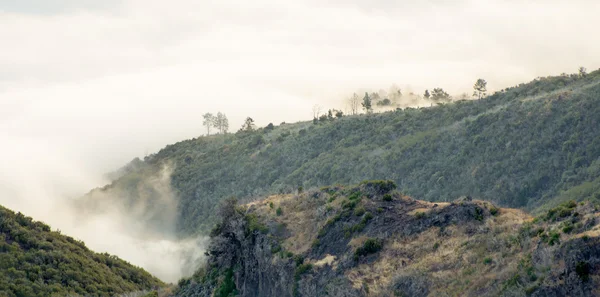 Mattina nebbiosa a Madeira — Foto Stock