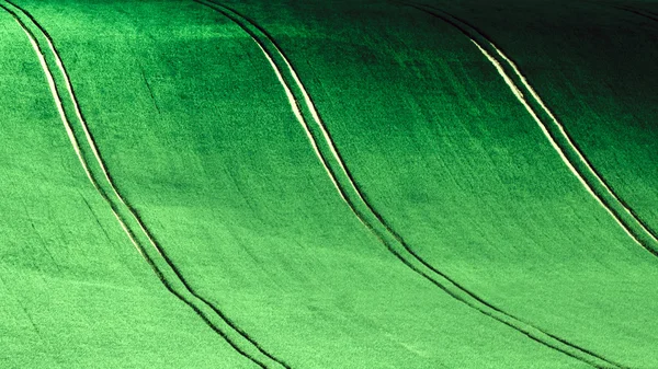 Yeşil tepelik alanın üzerinde üç toprak yollar