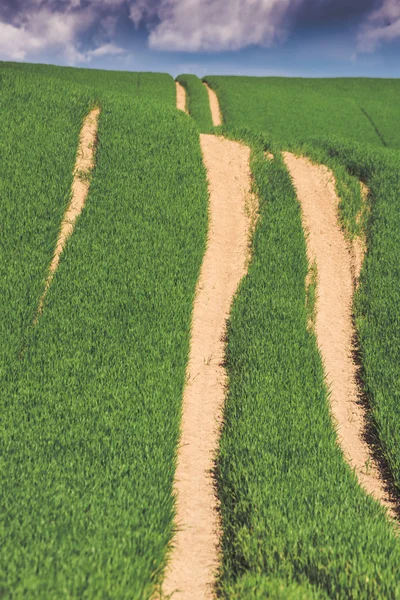 Strada sterrata sopra il verde campo collinare — Foto Stock