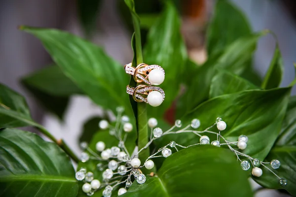 Noivas jewerly tradicional noiva decoração — Fotografia de Stock