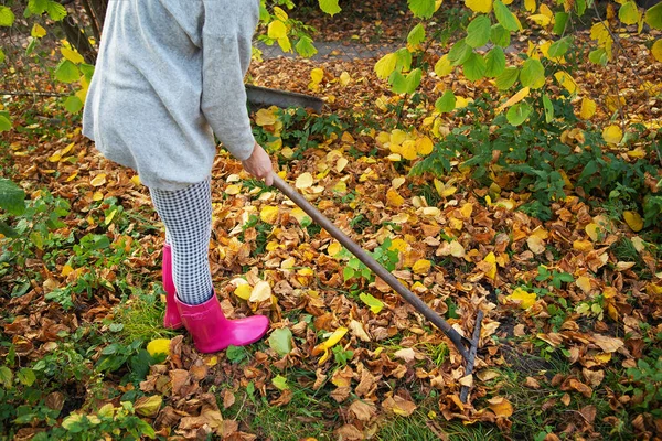 Una Ragazza Stivali Gomma Tiene Rastrello Rastrella Foglie Cadute — Foto Stock