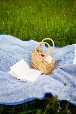Parkta çok güzel bir piknik. Hasır çanta, kitap, mavi ekose. Açık hava eğlencesi. Yakın plan.