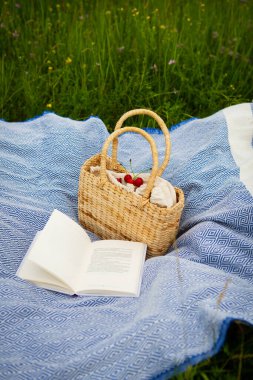 Parkta çok güzel bir piknik. Hasır çanta, kitap, mavi ekose. Açık hava eğlencesi. Yakın plan.