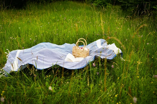 Bellissimo Picnic Nella Natura Nel Parco Sacchetto Paglia Libro Plaid — Foto Stock