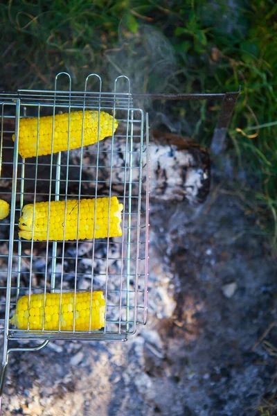 Espigas Milho Suculentas Amarelas Assadas Cozidas Rack Arame Fim Semana — Fotografia de Stock
