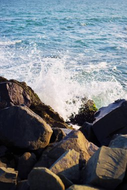 Bulgaristan 'ın taşlı deniz kıyıları - güneş, deniz, sahil