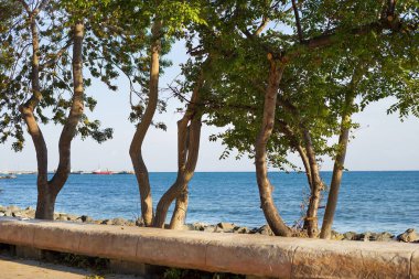 Deniz manzarası çok güzel - Nessebar, Bulgaristan