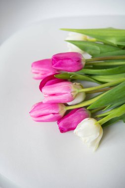 Beyaz arka planda pembe ve beyaz laleleri olan güzel bahar çiçekleri.