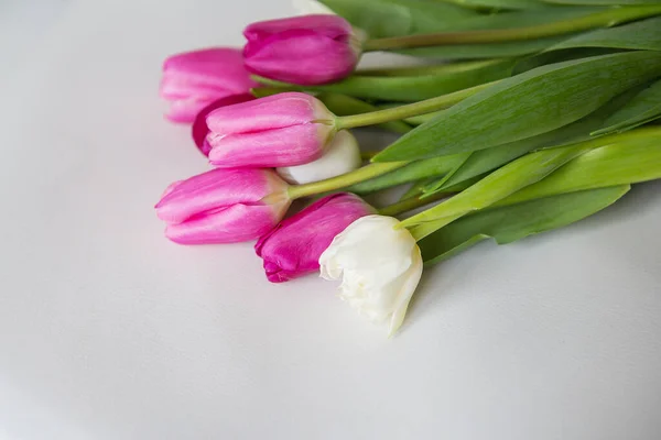 Beyaz Arka Planda Pembe Beyaz Laleleri Olan Güzel Bahar Çiçekleri — Stok fotoğraf