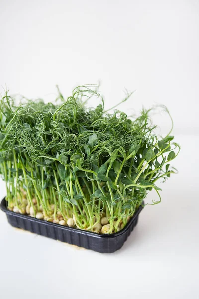 Erwtenmicrogroene Spruiten Rauwe Spruiten Microgreens Gezond Voedsel Concept Ondersteunt Het — Stockfoto