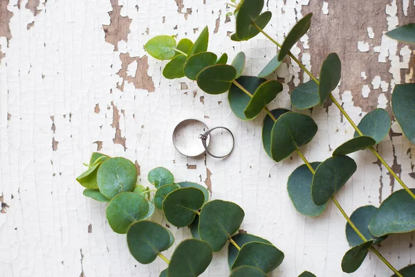 Trauringe Auf Einem Weißen Alten Tisch Mit Einem Zweig Eukalyptus — Stockfoto