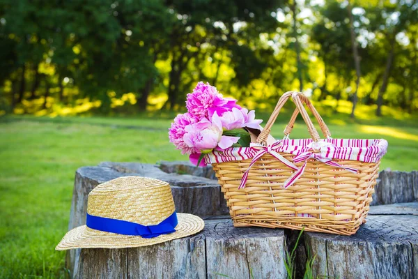 그루터기에 모자가서 아름다운 바구니 — 스톡 사진