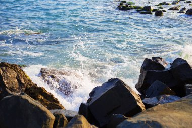 Bulgaristan 'ın taşlı deniz kıyıları, deniz, plaja yakın çekim.