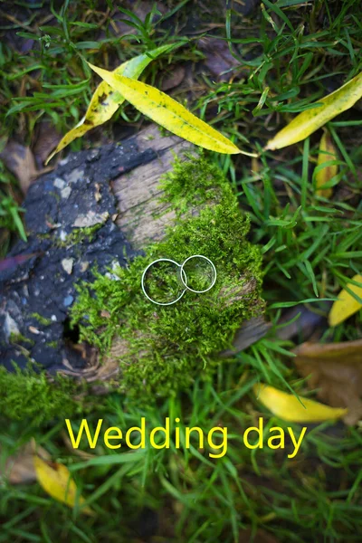 Silberne Eheringe Auf Grünem Moos Die Inschrift Hochzeitstag — Stockfoto