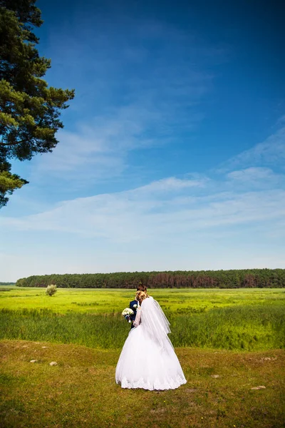 Bride Groom Standing Mountain — Stock Photo, Image