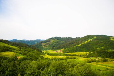 Karpat Dağları 'ndaki güzel yaz manzarası. Ukrayna