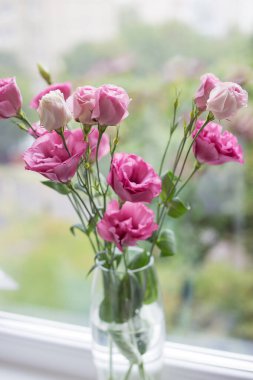 Güzel bir buket parlak pembe çiçek östoması
