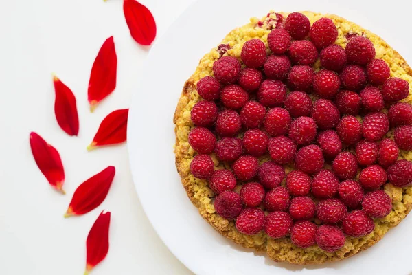 Torta Lampone Rosso Vivo Petali Fiore Primo Piano — Foto Stock