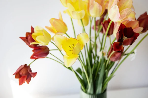Bir Buket Çok Renkli Lale Taze Bahar Çiçekleri Çiçek Arkaplanı — Stok fotoğraf