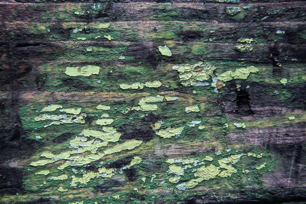 Textura Madeira Velha Descascando Tinta Verde Cores Diferentes Espaço Para — Fotografia de Stock