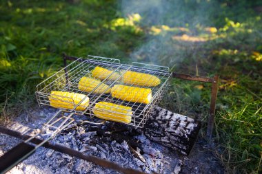 Kablo askısında pişmiş mısır koçanlarının sarı sulu mısırları. Açık hava eğlencesi