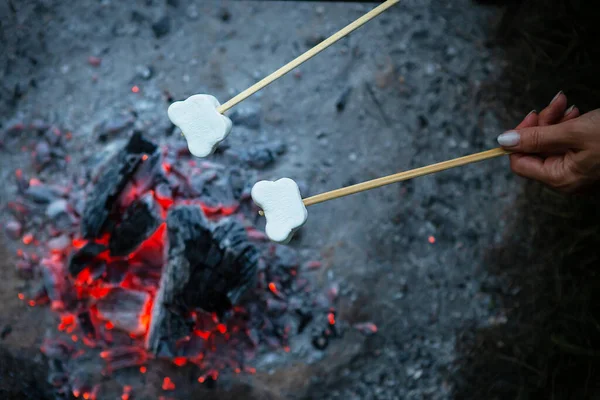 Marshmallows Fried Skewers Fire Fried Marshmallows Open Flame Skewer Campfire — Stock Photo, Image