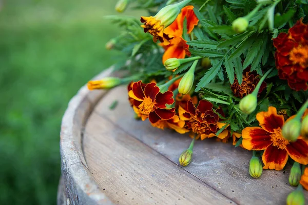 Sehr Schöne Bunte Frisch Geschnittene Ringelblumen Liegen Auf Einem Holztisch — Stockfoto